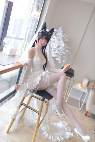 献鱼电视剧免费观看完整版